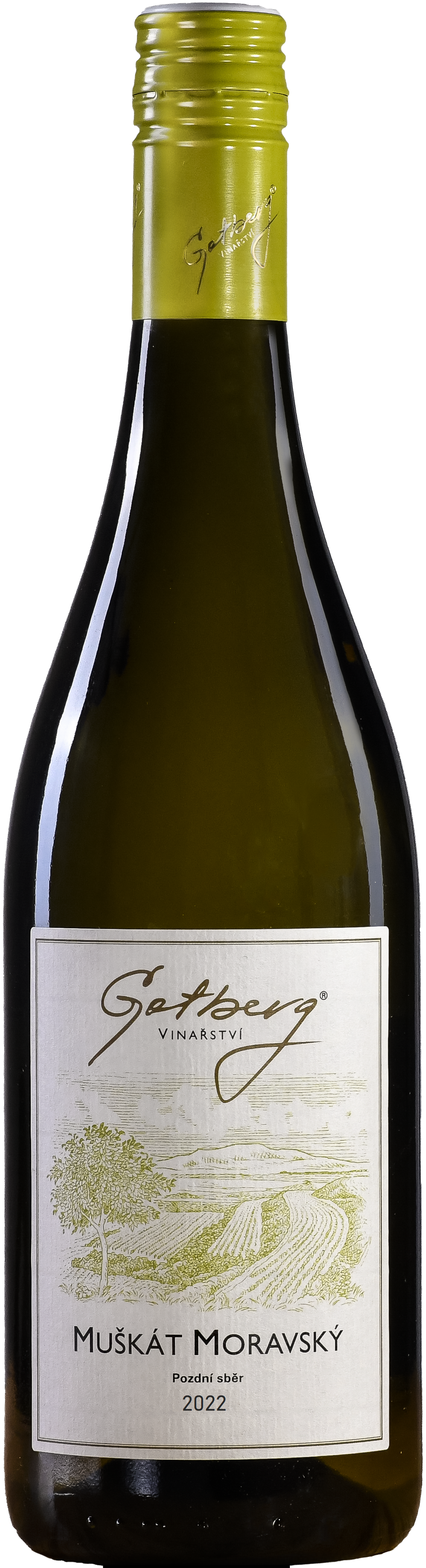 Muškát moravský pozdní sběr, 2022