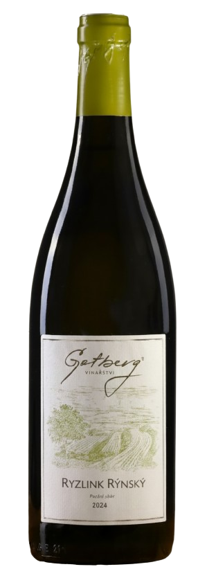 Ryzlink rýnský, pozdní sběr 2024