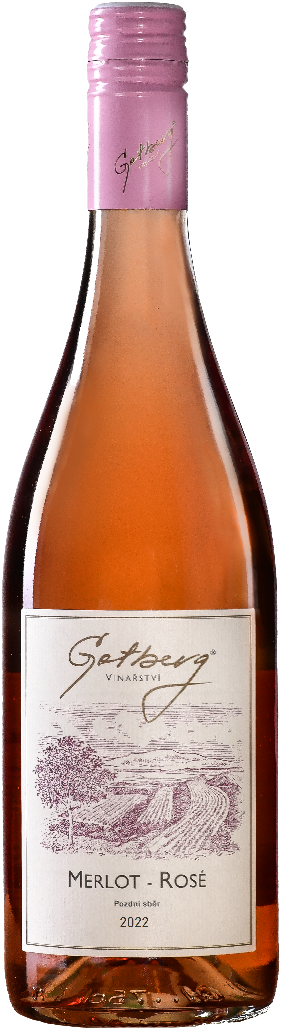 Merlot rosé, pozdní sběr 2022