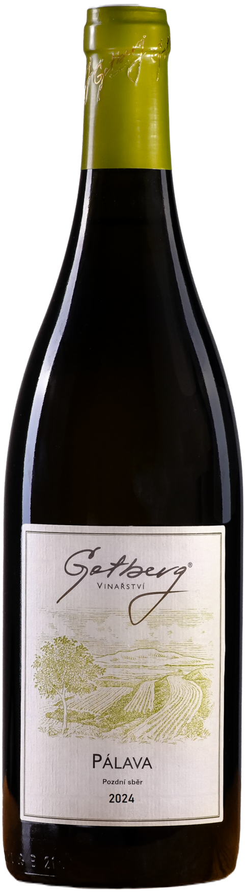 Pálava, pozdní sběr 2024