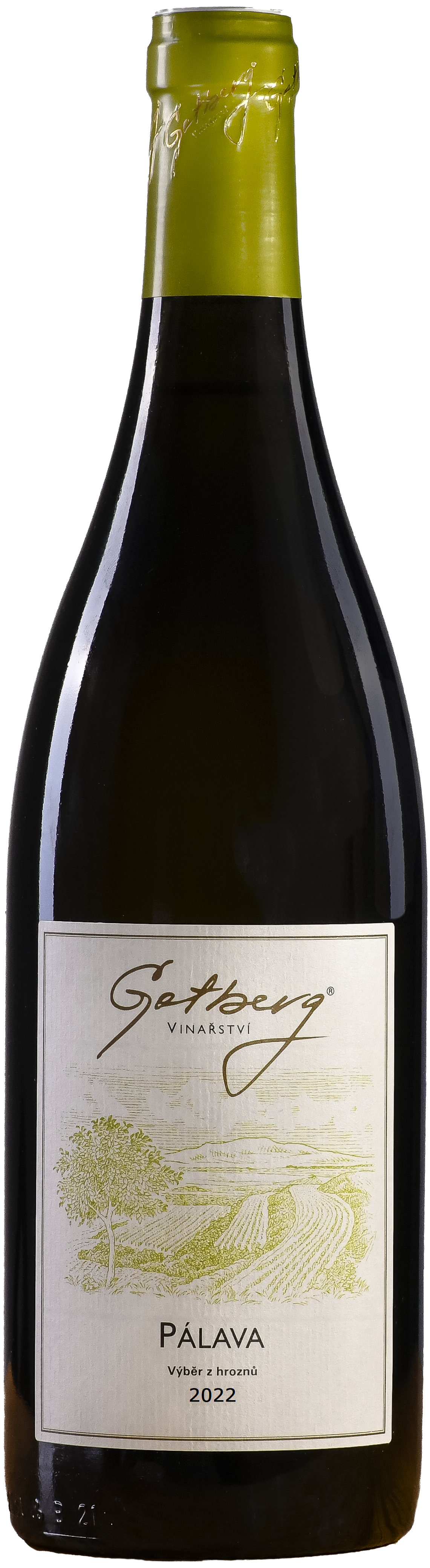 Pálava, výběr z hroznů 2022