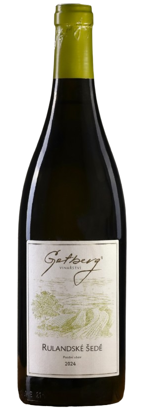 Rulandské šedé pozdní sběr, 2024